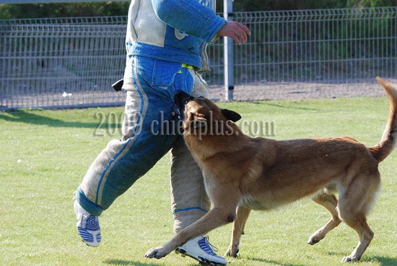 3 EME SELECTIF 2009 GRANDE SYNTHE 337.jpg
